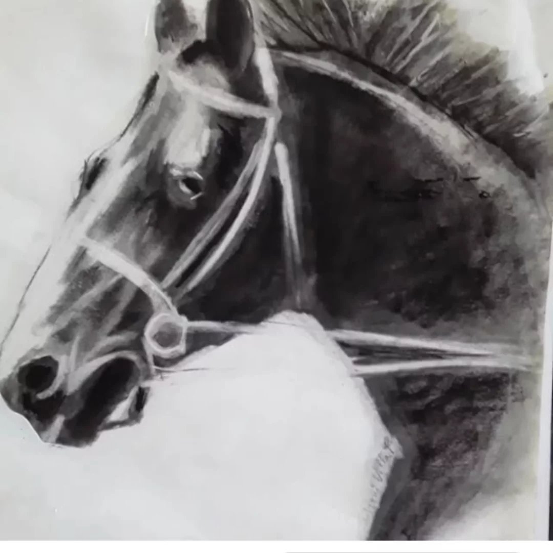 Caballo — Carbonilla sobre papel por Inés Villa